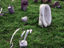 Image 01